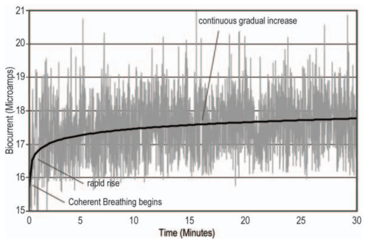 Figure 8: Rapid Rise In Biocurrent