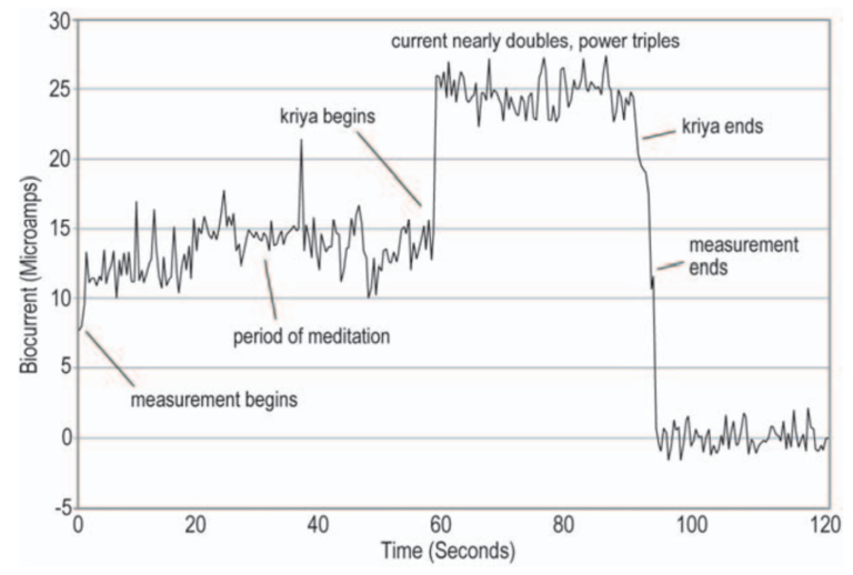 Bio-current of Spontaneous Kriya