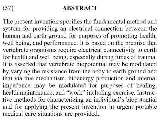 Abstract of US Patent 7349194